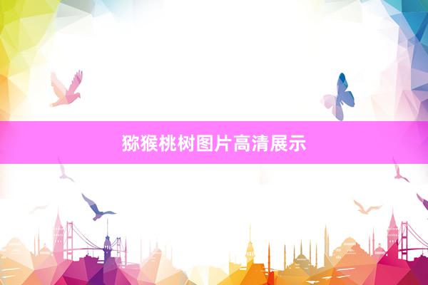 猕猴桃树图片高清展示