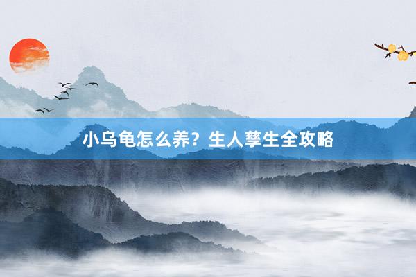 小乌龟怎么养？生人孳生全攻略